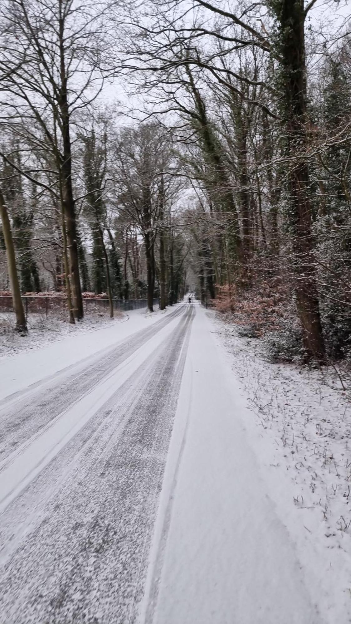 Apartamento Logeren Bij Sabine En Jw Beekbergen Exterior foto